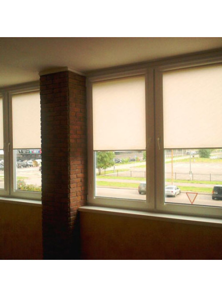 Рулонные шторы закрытого типа с направляющими Вариант 9