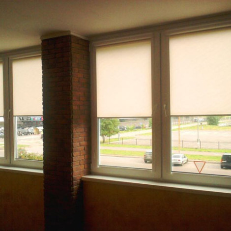 Рулонные шторы закрытого типа с направляющими Вариант 9